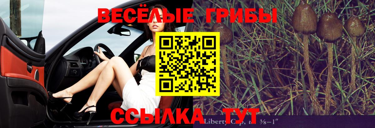 Галлюциногенные грибы Psilocybine cubensis  Псилоцибиновые грибы Magic Shrooms  Вход с VPN  Похвистнево 